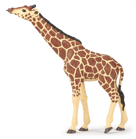 media/pim/girafe-3465000502362_0.jpg
