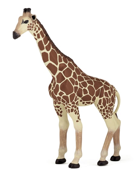 media/pim/girafe-girafe-3465000500962_0.jpg