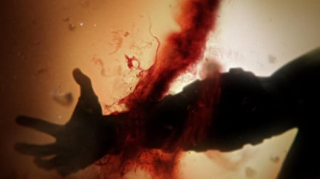 media/pim/god-of-war-ascension-edition-speciale-0711719231455_6.jpg