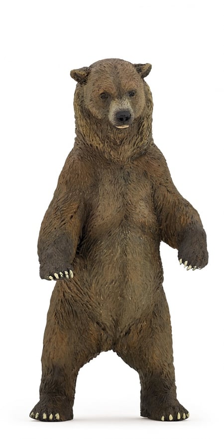 media/pim/grizzly-grizzly-3465000501532_0.JPG