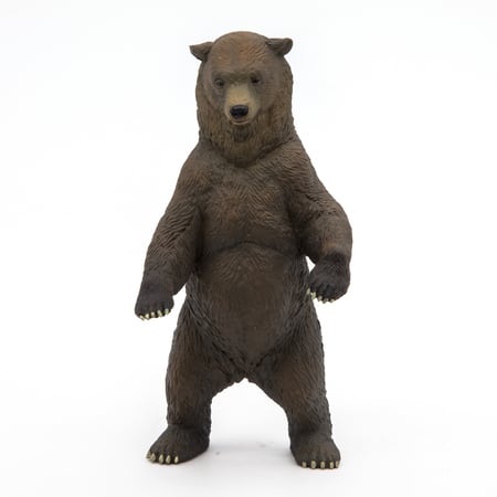 media/pim/grizzly-grizzly-3465000501532_1.JPG