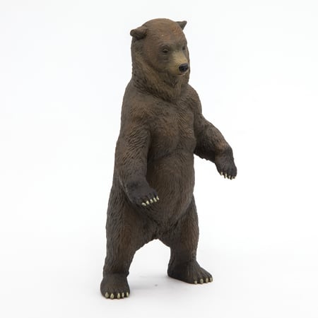 media/pim/grizzly-grizzly-3465000501532_2.JPG