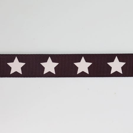 media/pim/gros-grain-etoile-prune-delicate-16-mm-359972_2.jpg