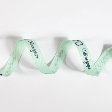 media/pim/gros-grain-message-celadon-10-mm-360041_1.jpg