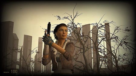 media/pim/half-life-2-episode-1-pc-5030931050084_3.jpg