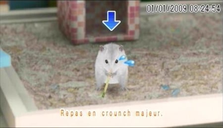 media/pim/hamsterz-2009-psp-3307211658653_10.jpg