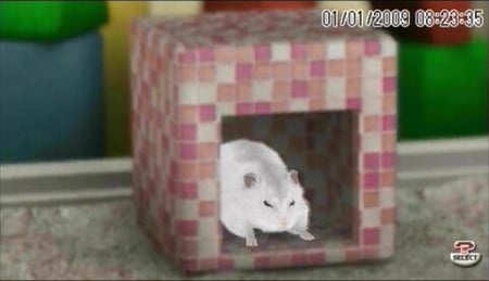 media/pim/hamsterz-2009-psp-3307211658653_4.jpg
