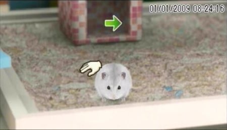 media/pim/hamsterz-2009-psp-3307211658653_5.jpg