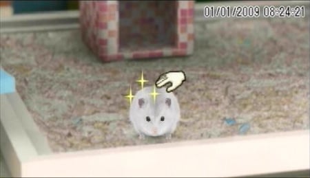 media/pim/hamsterz-2009-psp-3307211658653_6.jpg