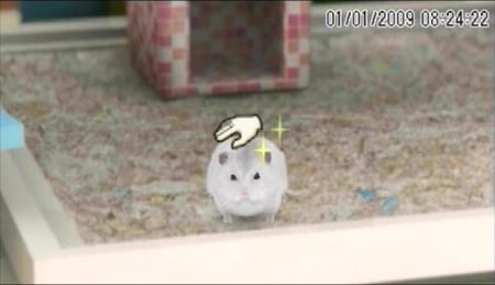 media/pim/hamsterz-2009-psp-3307211658653_7.jpg