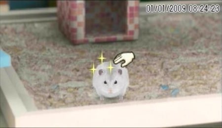 media/pim/hamsterz-2009-psp-3307211658653_8.jpg