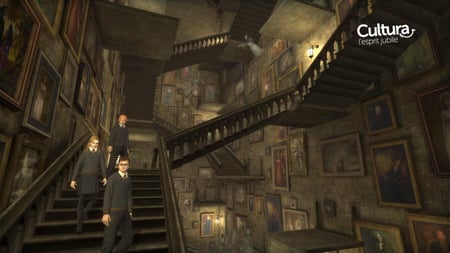 media/pim/harry-potter-et-l-ordre-du-phenix-ps2-nix-5030931064173_4.jpg