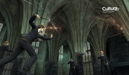 media/pim/harry-potter-et-l-ordre-du-phenix-ps2-nix-5030931064173_7.jpg
