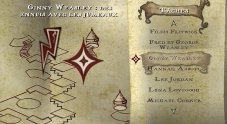 media/pim/harry-potter-et-l-ordre-du-phoenix-5030931057274_9.jpg