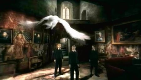 media/pim/harry-potter-et-l-ordre-du-phoenix-enix-5030931057281_10.jpg