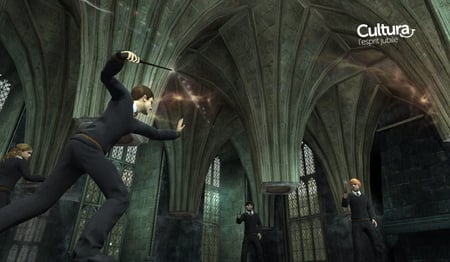 media/pim/harry-potter-et-l-ordre-du-phoenix-enix-5030931057403_7.jpg