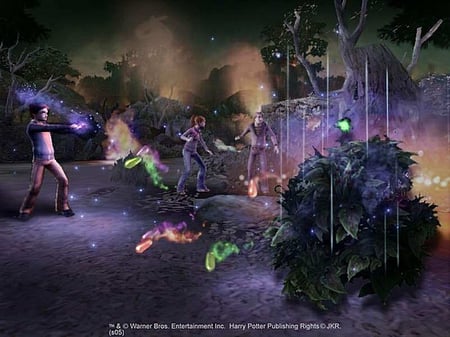 media/pim/harry-potter-et-la-coupe-de-feu-ps2-u-5030931045585_2.jpg