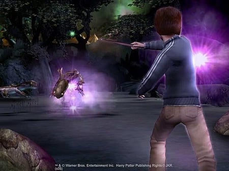 media/pim/harry-potter-et-la-coupe-de-feu-ps2-u-5030931045585_3.jpg