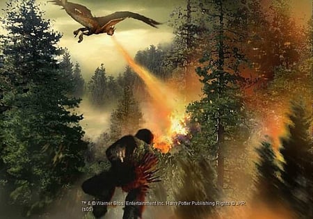 media/pim/harry-potter-et-la-coupe-de-feu-ps2-u-5030931045585_4.jpg