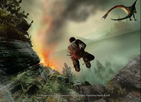 media/pim/harry-potter-et-la-coupe-de-feu-ps2-u-5030931045585_6.jpg