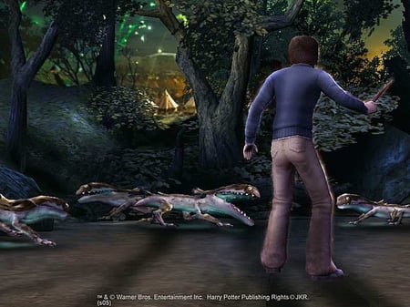 media/pim/harry-potter-et-la-coupe-de-feu-ps2-u-5030931045585_7.jpg