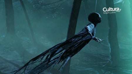 media/pim/harry-potter-les-reliques-de-la-mort-partie-1-5030931087585_4.jpg