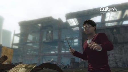 media/pim/harry-potter-les-reliques-de-la-mort-partie-1-5030931087585_6.jpg