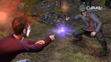 media/pim/harry-potter-les-reliques-de-la-mort-partie-1-5030931087585_7.jpg
