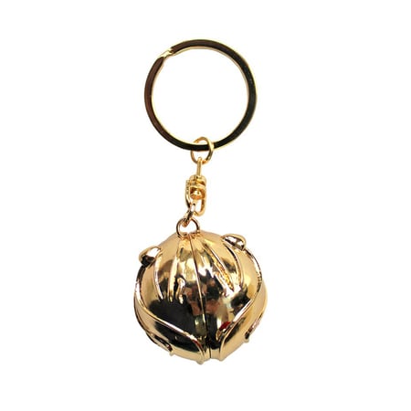media/pim/harry-potter-porte-cles-3d-vif-d-or-3700789267485_0.jpg