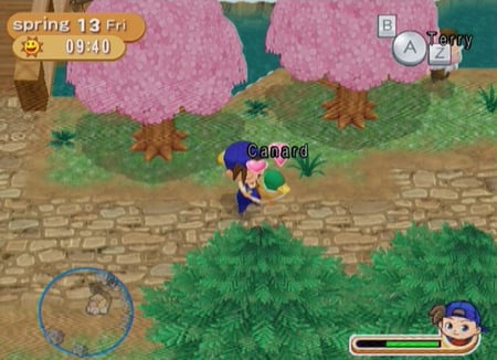 media/pim/harvest-moon-magical-melody-wii-0045496363727_9.jpg