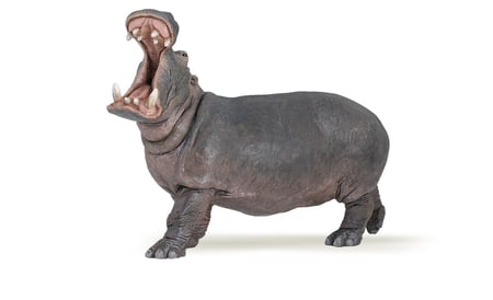 media/pim/hippopotame-adulte-hippopotame-adulte-3465000500511_0.jpg