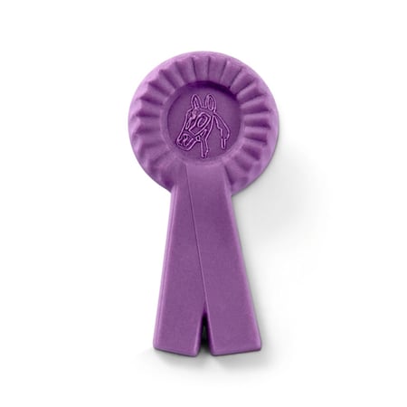 media/pim/horse-club-box-avec-jument-lusitanienne-4055744011672_12.jpg