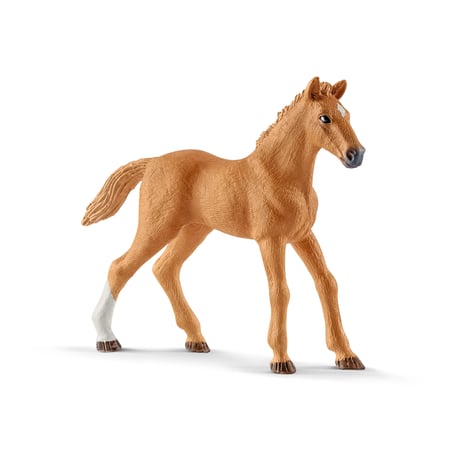 media/pim/horse-club-chevaux-invites-d-hannah-avec-chienne-ruby-4055744014598_7.jpg
