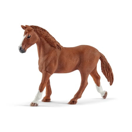 media/pim/horse-club-chevaux-invites-d-hannah-avec-chienne-ruby-4055744014598_8.jpg
