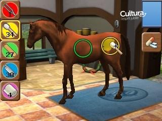 media/pim/horse-vet-pratice-3ds-4017244987727_3.jpg