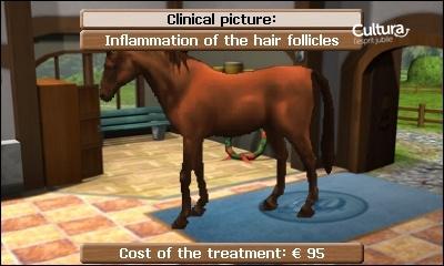 media/pim/horse-vet-pratice-3ds-4017244987727_7.jpg