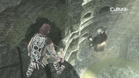 media/pim/ico-shadow-of-the-colossus-0711719135395_6.jpg