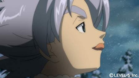 media/pim/inazuma-eleven-2-tempete-de-glace-0045496471736_10.jpg