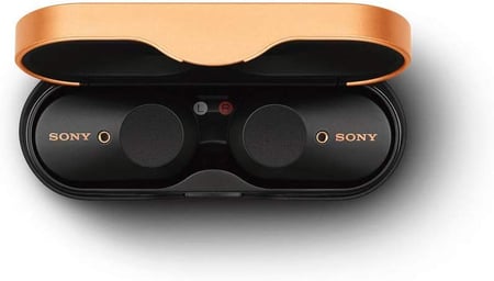 media/pim/intras-sony-tw-wf1000xm3-noir-ecouteurs-true-wireless-sony-4548736088818_3.jpg