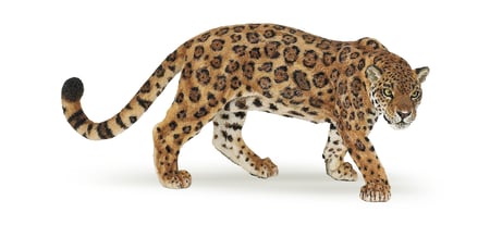 media/pim/jaguar-jaguar-3465000500948_0.jpg