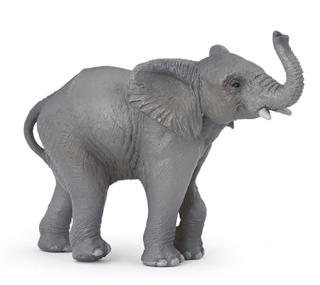 media/pim/jeune-elephant-3465000502256_0.jpg