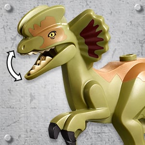 media/pim/jw-conf-dino-1-5702016367225_27.jpg