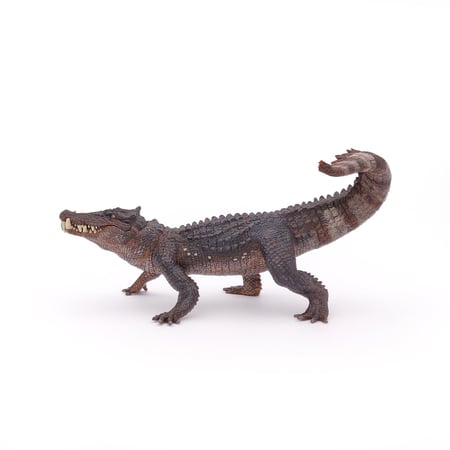 media/pim/kaprosuchus-3465000550561_0.jpg