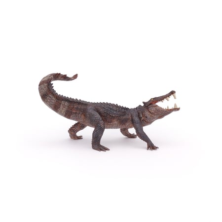 media/pim/kaprosuchus-3465000550561_10.jpg