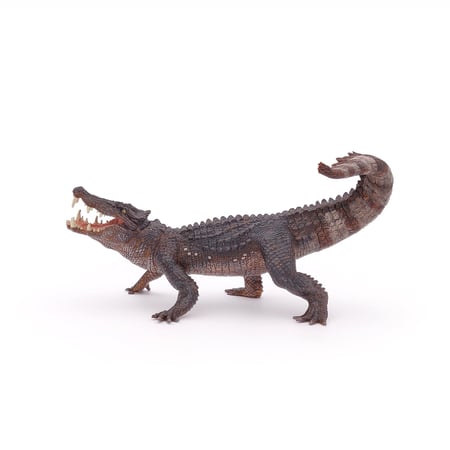 media/pim/kaprosuchus-3465000550561_6.jpg