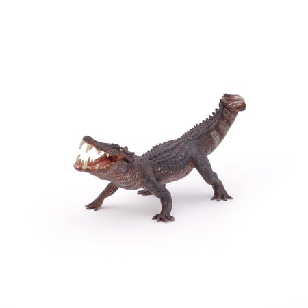 media/pim/kaprosuchus-3465000550561_7.jpg