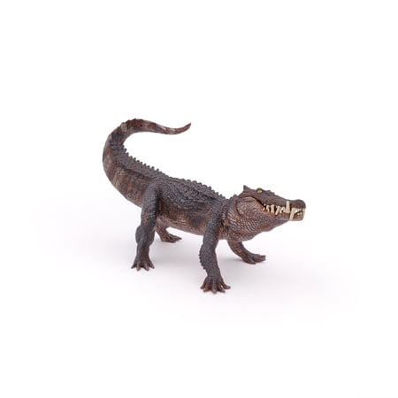 media/pim/kaprosuchus-3465000550561_8.jpg