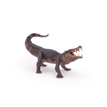 media/pim/kaprosuchus-3465000550561_9.jpg