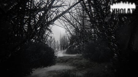 media/pim/kholat-3700664520032_8.jpg