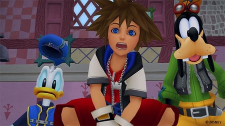 media/pim/kingdom-hearts-1-5-2-5-5021290077621_7.jpg
